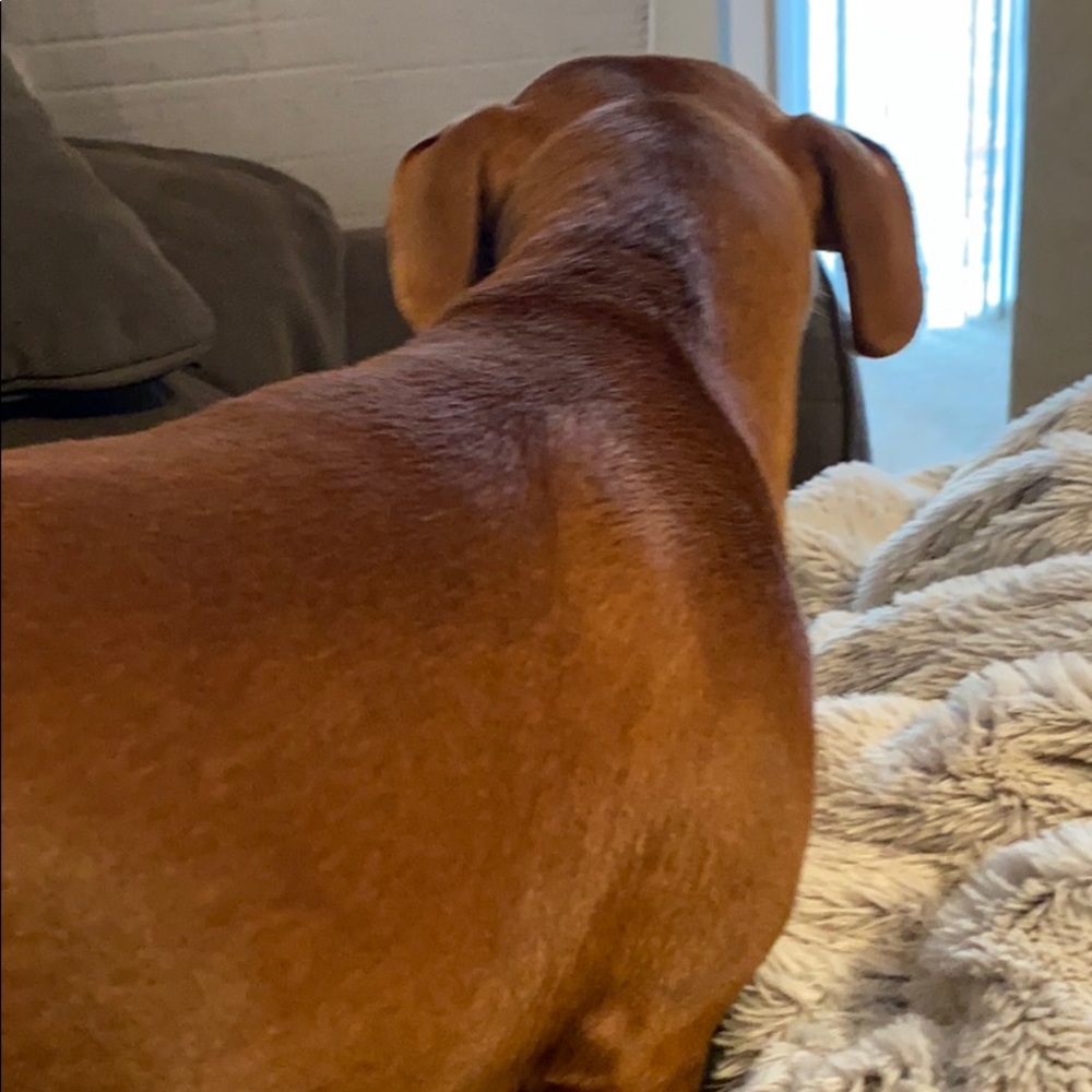 Meet your Posher, Robbyn